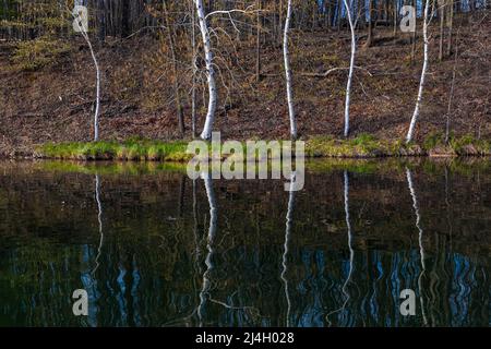 Bootstouren auf dem Lake of the Clouds in der Nähe von Birken in Canadian Lakes, Michigan, USA Stockfoto