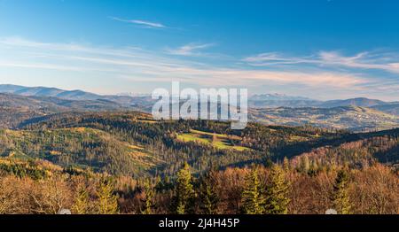 Näher gelegene Hügel der Beskid Berge und Tatra Berge auf dem Hintergrund von Cieslar Hügel in Beskid Slaski Berge auf Polnisch - tschechische Grenzen während b Stockfoto