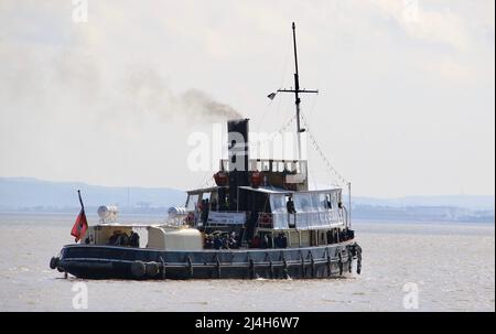 Danny Adamson Steamship Stockfoto