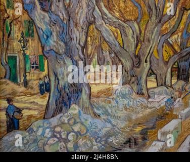 Van Goughs Gemälde große Platanen im Cleveland Museum of Art Stockfoto