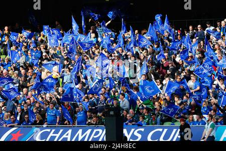 Aviva Stadium, Dublin, Irland. 15. April 2022. European Champions Cup Rugby, Leinster gegen Connacht; Leinster-Fans jubeln über ihre Teams und versuchen es Credit: Action Plus Sports/Alamy Live News Stockfoto