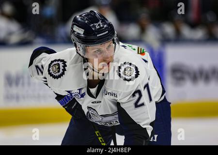 Jacksonville Icemen Stürmer Ian McKinnon (27) während eines ECHL-Eishockeyspiels gegen die Greenville Swamp Rabbits in der Veterans Memorial Arena in Jacksonville, Florida, Mittwoch, 13. April 2022. [Gary Lloyd McCullough/Cal Sport Media] Stockfoto