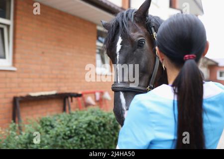 Tierarzt führt ärztliche Untersuchung des Pferdes auf dem Bauernhof Stockfoto