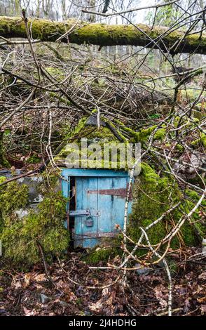 Geheimnisvolle Tür im Wald Strawberry Gardens Windermere Cumbria Stockfoto