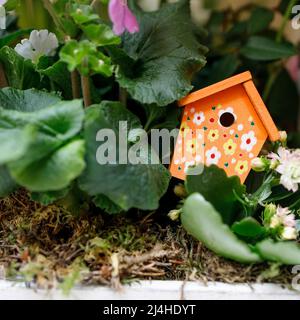 Kleines dekoratives oranges Vogelhaus mit roten Tupfen in Primelleblättern Stockfoto