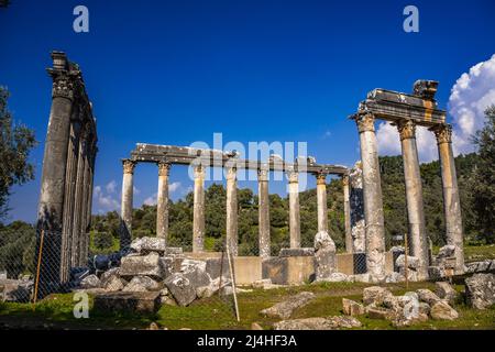 Beeindruckender Tempel des Zeus Lepsinos. Euromus (Euromos) Antike Stadt, Milas, Mugla, Türkei. Stockfoto