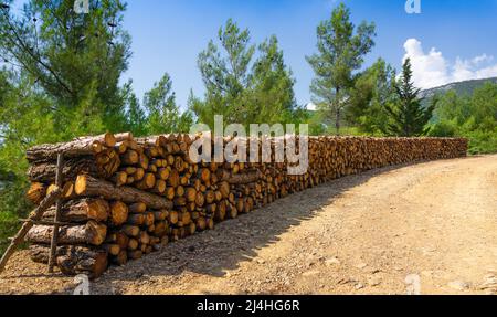 Frisch geschnittene und gestapelte Natura-Holzstämme. Waldhintergrund. Stockfoto