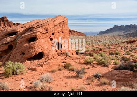 Rötliche Felsen, die über den Äonen von Wüstenwinden geformt wurden, stehen in krassem Relief vor einem blauen Himmel, der von einer hellen Wolke umraht ist Stockfoto