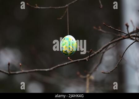 15. April 2022, GÃ¶ttingen, Niedersachsen, Deutschland: Bunte künstliche Eier hingen während des Osterfestes an einem Baum in GÃ¶ttingen. (Bild: © Tubal Sapkota/Pacific Press via ZUMA Press Wire) Stockfoto