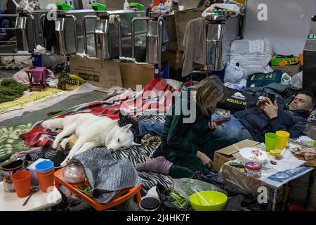 Charhiw, Ukraine. 14. April 2022. Ein Hund, der mit seinem Besitzer an der U-Bahn-Station in Charkiw gesehen wird. Die Bürger in Charkiw wurden gezwungen, sich in U-Bahnstationen ein neues Leben im Untergrund zu ereignen, da die zweitgrößte Stadt der Ukraine nun ständig von russischen Bombardierungen und Luftangriffen bedroht ist. (Bild: © Alex Chan Tsz Yuk/SOPA Images via ZUMA Press Wire) Stockfoto