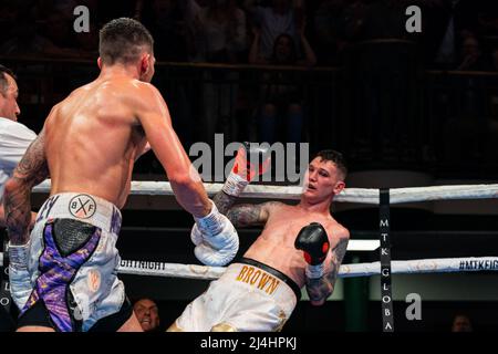 London, Großbritannien. 15. April 2022. Drew Brown schlug während der MTK-Kampfnacht zwischen Gilley und Brown für den englischen Super-Weltgewicht-Titel in der York Hall in London, England, nieder Sam Mallia/SPP Credit: SPP Sport Press Photo. /Alamy Live News Stockfoto