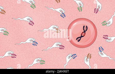 CRISPR-Genbearbeitung, konzeptuelle Illustration Stockfoto