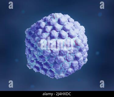 Herpes simplex viruseses, Illustration Stockfoto