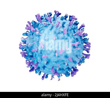Respiratorisches Synzytialvirus (RSV), Abbildung Stockfoto