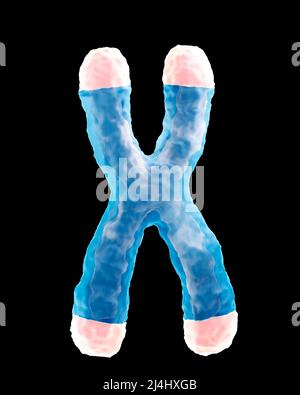 Telomere, Illustration Stockfoto