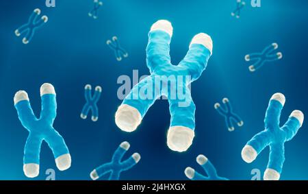 Chromosomen mit Telomeren, Illustration Stockfoto