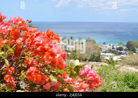 Barbados herrliche Aussicht von Fitts Dorf mit Häusern und Meer an einem sonnigen Tag. Stockfoto