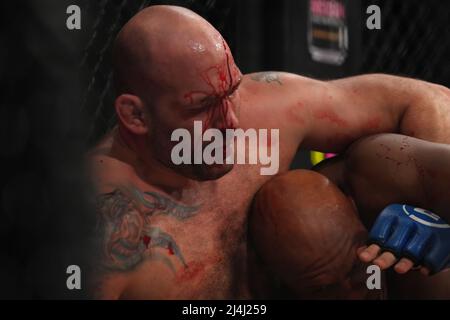 San Jose, Kalifornien, USA. 15. April 2022. SAN JOSE, CA - 15. April: Linton Vassell (rote Handschuhe) und Tim Johnson (blaue Handschuhe) treffen sich im Achteck zu einem 3-runden Schwergewicht-Kampf im SAP Center for Bellator 277: McKee vs Pitbull 2 - Veranstaltung am 15. April 2022 in SAN JOSE, USA. (Foto von Louis Grasse/PxImages) Credit: Px Images/Alamy Live News Stockfoto