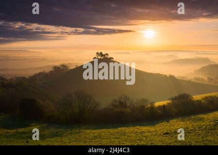 Bridport, Dorset, Großbritannien. 16.. April 2022. Wetter in Großbritannien. Ein nebliger Sonnenaufgang am Colmers Hill in der Nähe von Bridport in Dorset am Osterwochenende. Bildnachweis: Graham Hunt/Alamy Live News Stockfoto