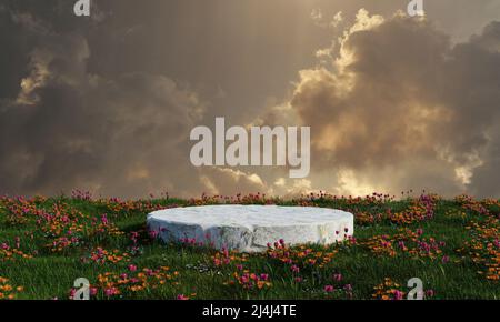 Naturstein Podium auf Wiese Gras Feld und bewölkten Himmel Hintergrund. Natur- und Wetterkonzept. 3D Darstellung von Illustrationen Stockfoto