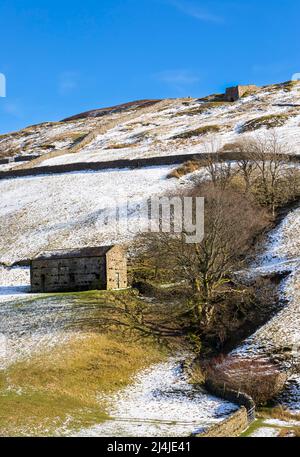 Steinerne Scheune in Swaledale, Yorkshire Dales National Park. Ikonische Trockensteinmauern umschließen im späten Winter schneebedeckte Weiden. Ein verlassene Kalkofen c Stockfoto