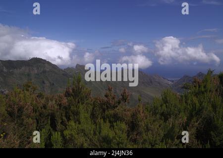 Teneriffa, Landschaft des nordöstlichen Teils der Insel aus der Umgebung des Aussichtspunktes Mirador del Llano de los Loros im Waldpark Anaga Stockfoto