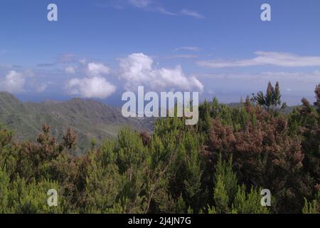 Teneriffa, Landschaft des nordöstlichen Teils der Insel aus der Umgebung des Aussichtspunktes Mirador del Llano de los Loros im Waldpark Anaga Stockfoto