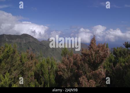 Teneriffa, Landschaft des nordöstlichen Teils der Insel aus der Umgebung des Aussichtspunktes Mirador del Llano de los Loros im Waldpark Anaga Stockfoto