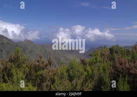 Teneriffa, Landschaft des nordöstlichen Teils der Insel aus der Umgebung des Aussichtspunktes Mirador del Llano de los Loros im Waldpark Anaga Stockfoto