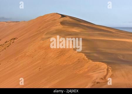 Frankreich. Gironde (33) am Eingang zum Arcachon-Becken, Luftaufnahme der Dune du Pilat, der höchsten Düne Europas Stockfoto