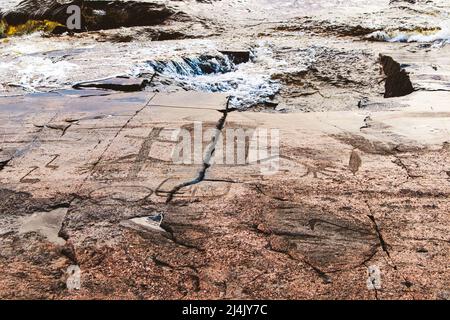 Alte Felszeichnungen am Ufer des Onega-Sees. Geschnitzt auf einer Granitplatte. Kap Besov Nos, Karelien, Russland - 15. August 2021. Stockfoto