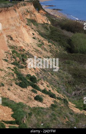 Auswirkungen der Küstenerosion bei Barton on Sea, Hampshire UK April 2022 Stockfoto