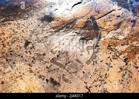 Alte Felszeichnungen am Ufer des Onega-Sees. Geschnitzt auf einer Granitplatte. Kap Besov Nos, Karelien, Russland - 15. August 2021. Stockfoto