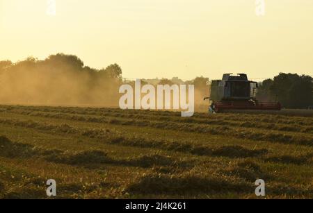 claas Mähdrescher arbeiten im Feld Stockfoto