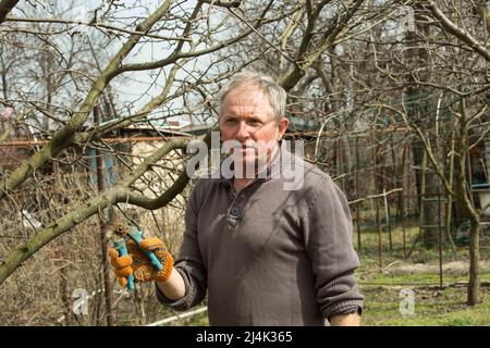 Ein Mann mittleren Alters schneidet mit einem Gartenscheren in einem Frühlingsgarten die Zweige von Obstbäumen. Stockfoto