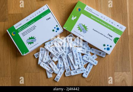 Covid-19- oder Coronavirus-Schnellantigen-Selbsttestpakete oder -Kits und ein Stapel negativer Lateral-Flow-Teststäbchen während der Pandemie Stockfoto