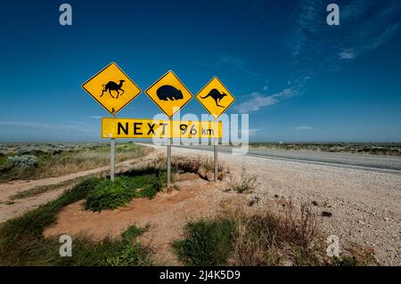 Berühmtes Straßenschild in der Nullarbor Plain im australischen Outback. Stockfoto