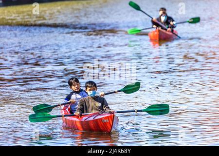 16. April 2022, Brandenburg, Lübben: Zwei Kanus werden von Paddlern über die Spree in Lübben bewegt. Traditionell wird am Osterwochenende in Lübben der "Frühlingsbeginn" gefeiert. Die rudel- und Paddelübergabe zum offiziellen Start der Saison für die Kahn- und Paddelboote findet am Hafen statt. Ein rudel ist eine hölzerne Vorrichtung, die von Bargemen benutzt wird, um ihren Lastkahn durch die Wasserwege des Spreewalds zu bewegen. Diese Aktivität wird als „Aufnahme“ bezeichnet. Foto: Frank Hammerschmidt/dpa Stockfoto