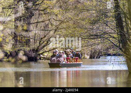16. April 2022, Brandenburg, Lübben: Ein Lastkahn fährt auf der Spree in Lübben. Traditionell wird am Osterwochenende in Lübben der "Frühlingsbeginn" gefeiert. Die rudel- und Paddelübergabe zum offiziellen Start der Saison für die Kahn- und Paddelboote findet am Hafen statt. Ein rudel ist eine hölzerne Vorrichtung, die von Bargemen benutzt wird, um ihren Lastkahn durch die Wasserwege im Spreewald zu bewegen. Diese Aktivität wird als „Aufnahme“ bezeichnet. Foto: Frank Hammerschmidt/dpa Stockfoto