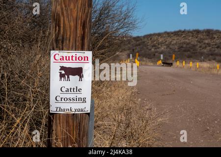 Douglas, Arizona - Ein Schild warnt davor, dass Rinder die Straße in einem abgelegenen Teil der Chihuahuan-Wüste in der Nähe der US-mexikanischen Grenze überqueren. Stockfoto