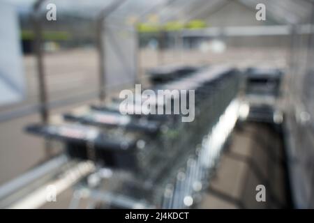 Verschwommen. 1 Warenkörbe-Reihen vor einem edeka-Laden in deutschland. Helles Sonnenlicht fällt durch das Glasdach. Rückansicht. Alles außer Fokus. Stockfoto