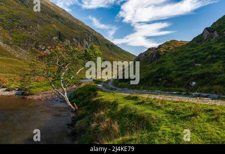 Glenlicht im Kintail Forest, Schottland Stockfoto