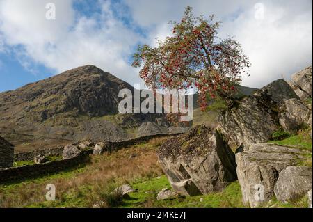 Rainsborrow Crag aus Tongue House in Kentmere, Cumbria Stockfoto