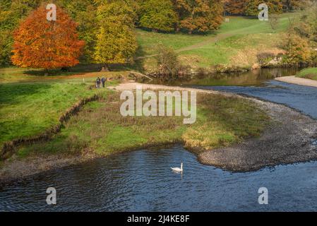 Der Fluss Kent in Leven Park bei Milnthorpe in Cumbria Stockfoto