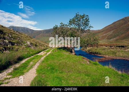 Glenlicht im Kintail Forest, Schottland Stockfoto