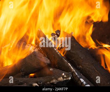 Gelbe Flammenzungen tanzen auf Holzstämmen Stockfoto