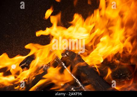 Gelbe Flammenzungen tanzen auf Holzstämmen Stockfoto