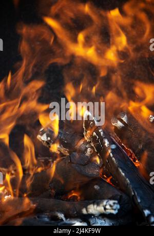 Gelbe Flammenzungen tanzen auf Holzstämmen Stockfoto