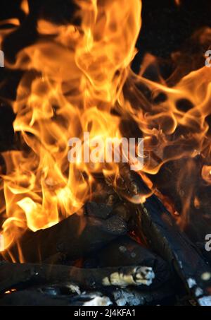 Gelbe Flammenzungen tanzen auf Holzstämmen Stockfoto