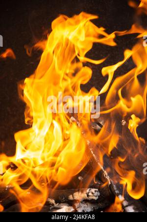 Gelbe Flammenzungen tanzen auf Holzstämmen Stockfoto